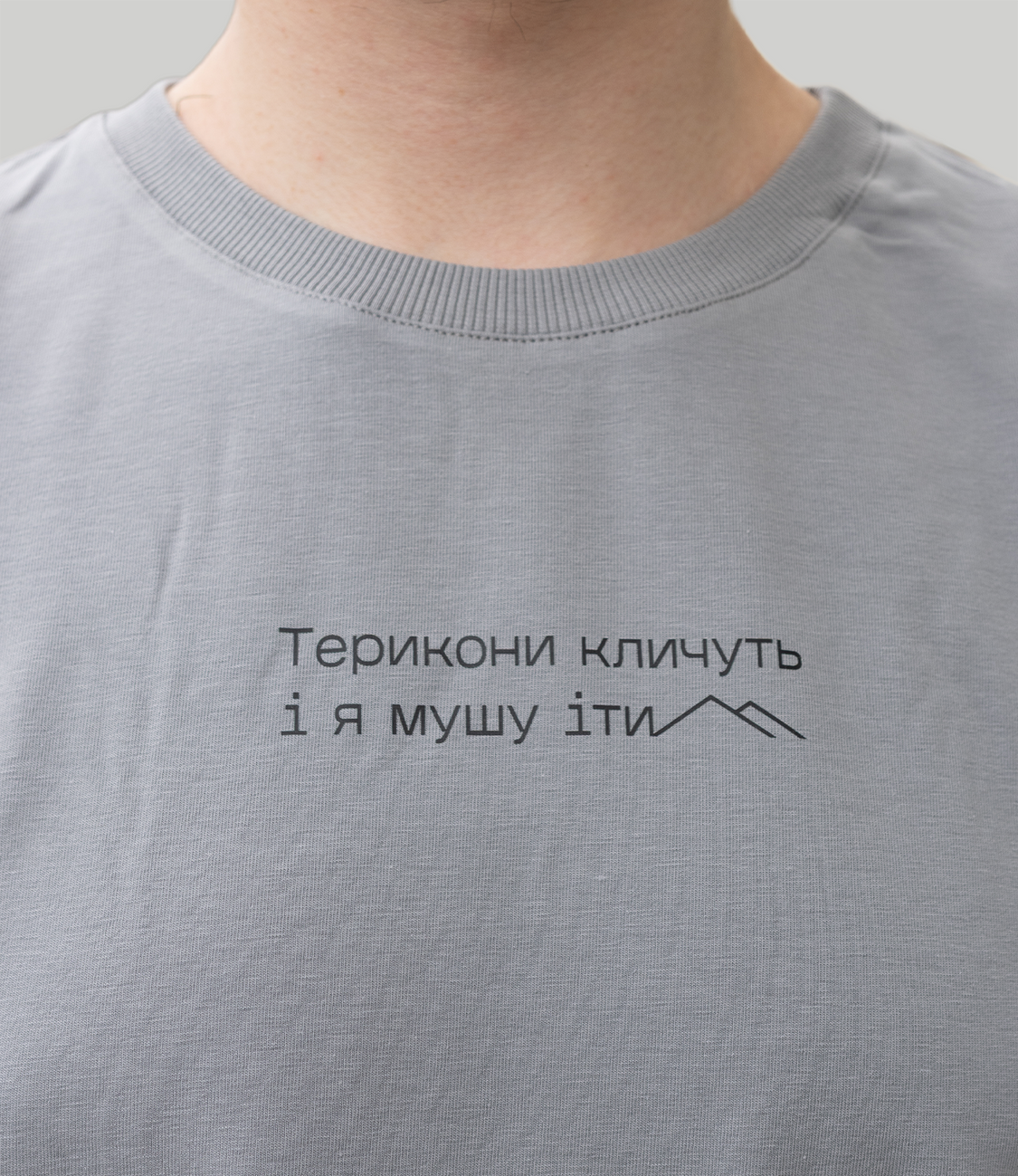Футболка "Терикони кличуть", (сірий), S TSH-TRK фото